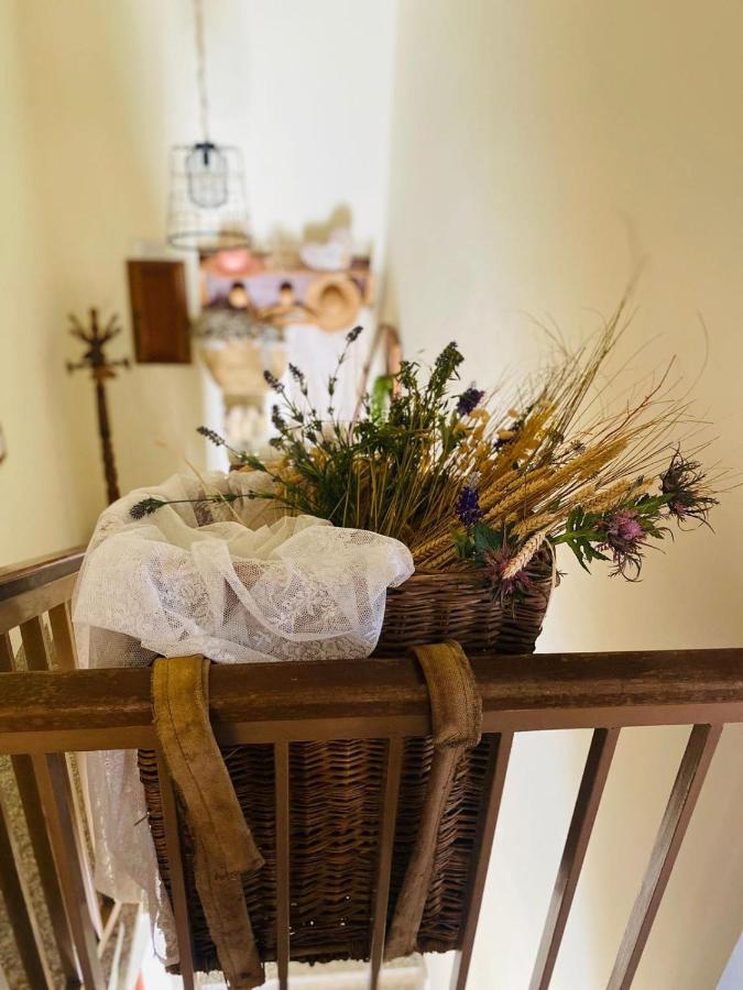 Anticacascina Bed and Breakfast Quarto  Exteriör bild