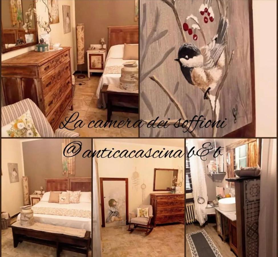 Anticacascina Bed and Breakfast Quarto  Exteriör bild